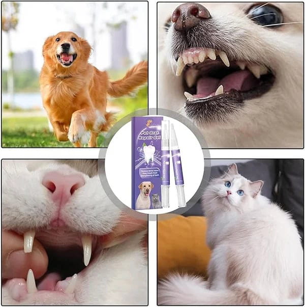 Zahnreparaturgel fĂŒr Hund und Katze