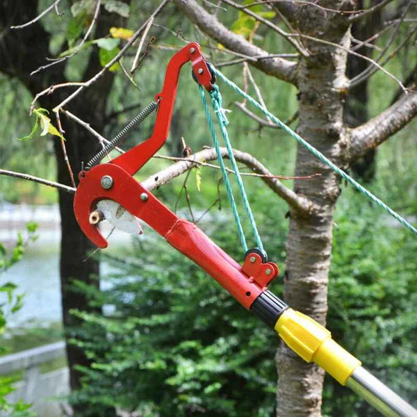 Japan Denosuke Kohlenstoffstahl arbeitssparende Hochstammschere