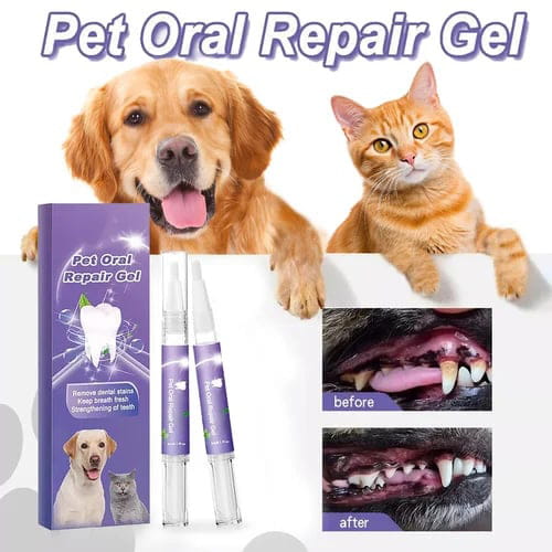 Zahnreparaturgel fĂŒr Hund und Katze