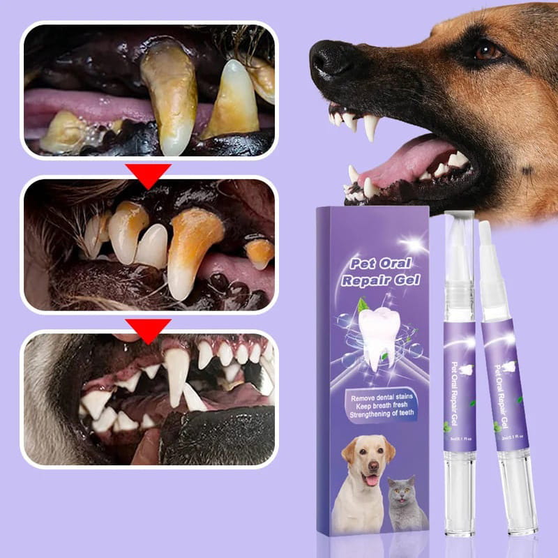 Zahnreparaturgel fĂŒr Hund und Katze