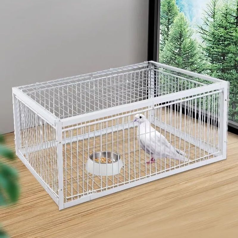 💥AutoTrap Vogelkäfig - nur Eingang, kein Ausgang