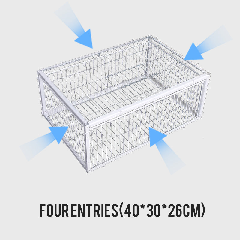 💥AutoTrap Vogelkäfig - nur Eingang, kein Ausgang