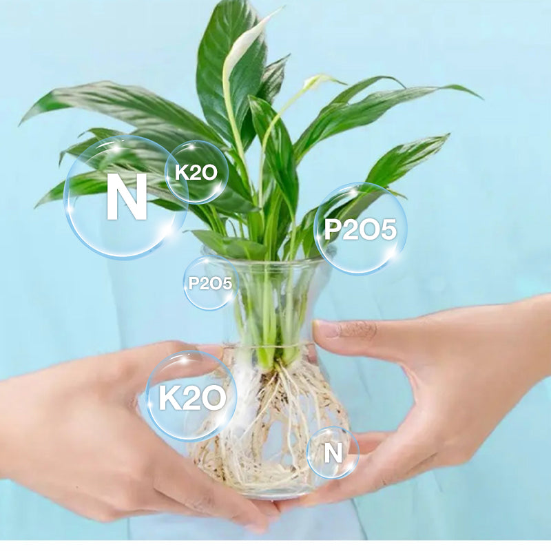 Hydrokultur-Nährlösung: Wachstumsbooster für Pflanzen 🌱⚗️💚
