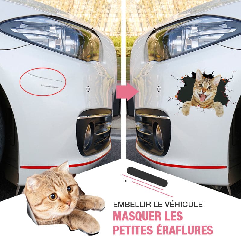 3D-Wandaufkleber mit abnehmbaren Katzen- und Hundemotiven