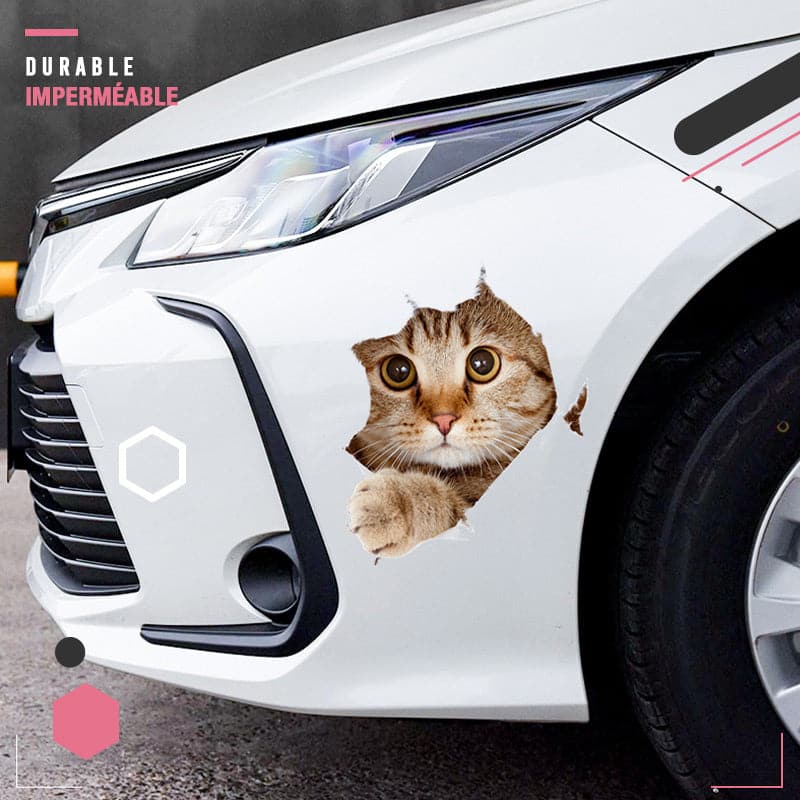 3D-Wandaufkleber mit abnehmbaren Katzen- und Hundemotiven