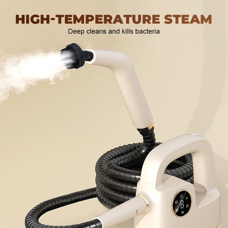 Tragbares Hochtemperatur-Dampfreiniger-Set
