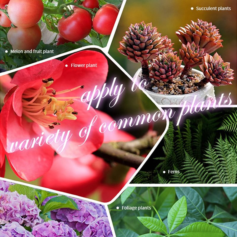 Home Gardening Universal Langzeitdünger in Tablettenform Organischer Dünger