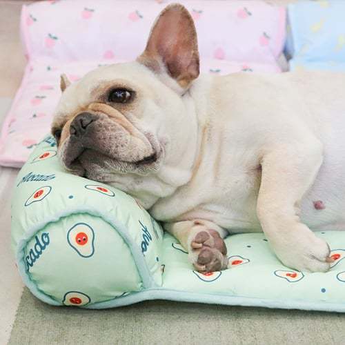 Kühlmatte für Katzen/Hunde