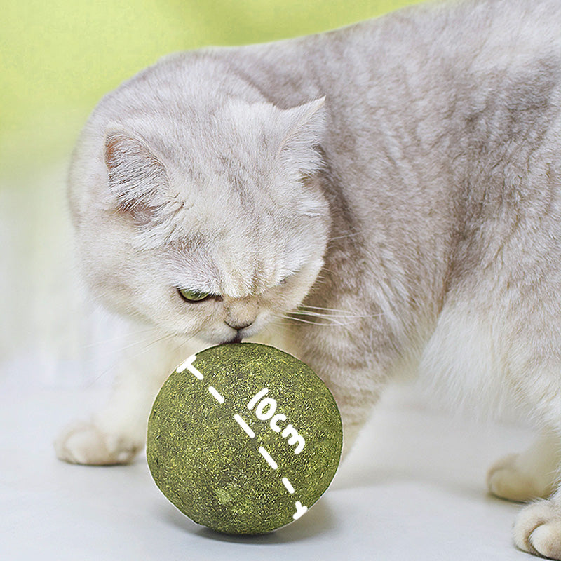 Riesiger Katzenminze Bälle