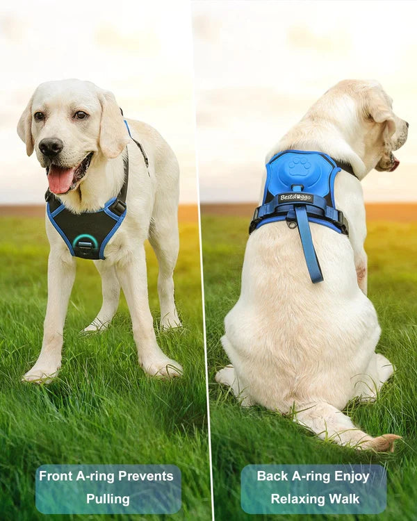 Hundegeschirr und einziehbare Leine in einem Set