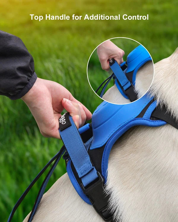 Hundegeschirr und einziehbare Leine in einem Set