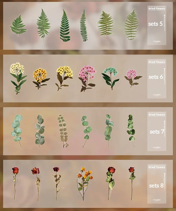 ✨Großformatige getrocknete Blumen Aufkleber Set💝
