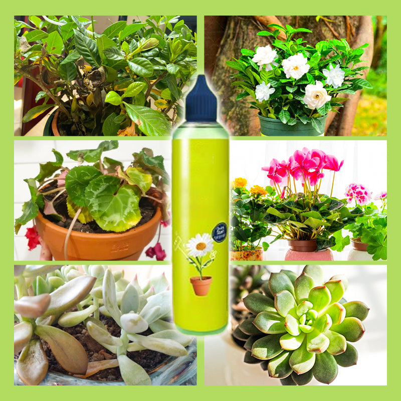 Flüssigdünger für Außen- und Zimmerpflanzen(50% OFF)