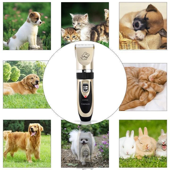 Pet Silent Shaving Kit