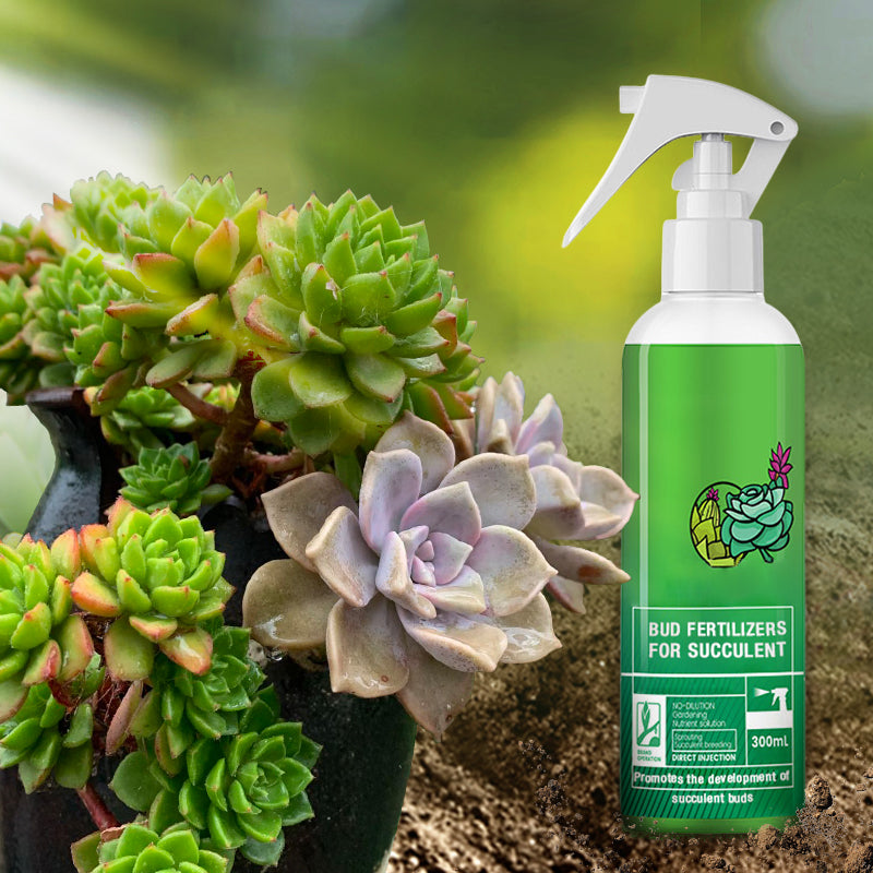 Knospendünger für Sukkulenten(50% OFF)