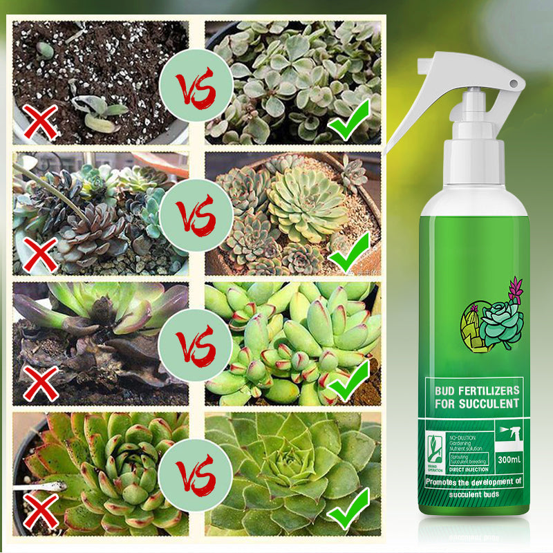 Knospendünger für Sukkulenten(50% OFF)