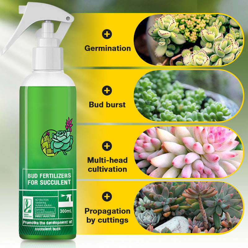 Knospendünger für Sukkulenten(50% OFF)