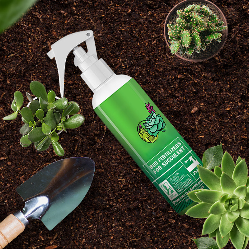 Knospendünger für Sukkulenten(50% OFF)