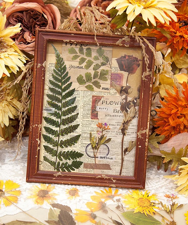 ✨Großformatige getrocknete Blumen Aufkleber Set💝