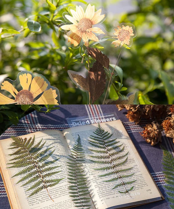 ✨Großformatige getrocknete Blumen Aufkleber Set💝