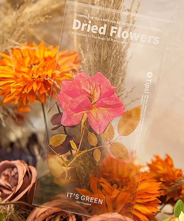 ✨Großformatige getrocknete Blumen Aufkleber Set💝