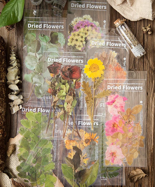 ✨Großformatige getrocknete Blumen Aufkleber Set💝