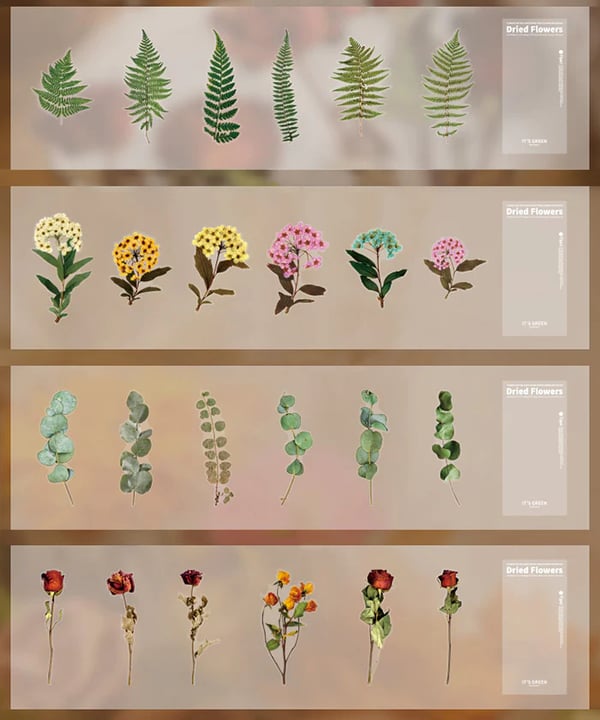 ✨Großformatige getrocknete Blumen Aufkleber Set💝