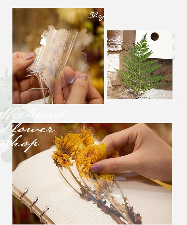 ✨Großformatige getrocknete Blumen Aufkleber Set💝