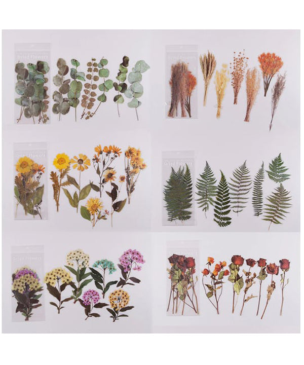 ✨Großformatige getrocknete Blumen Aufkleber Set💝