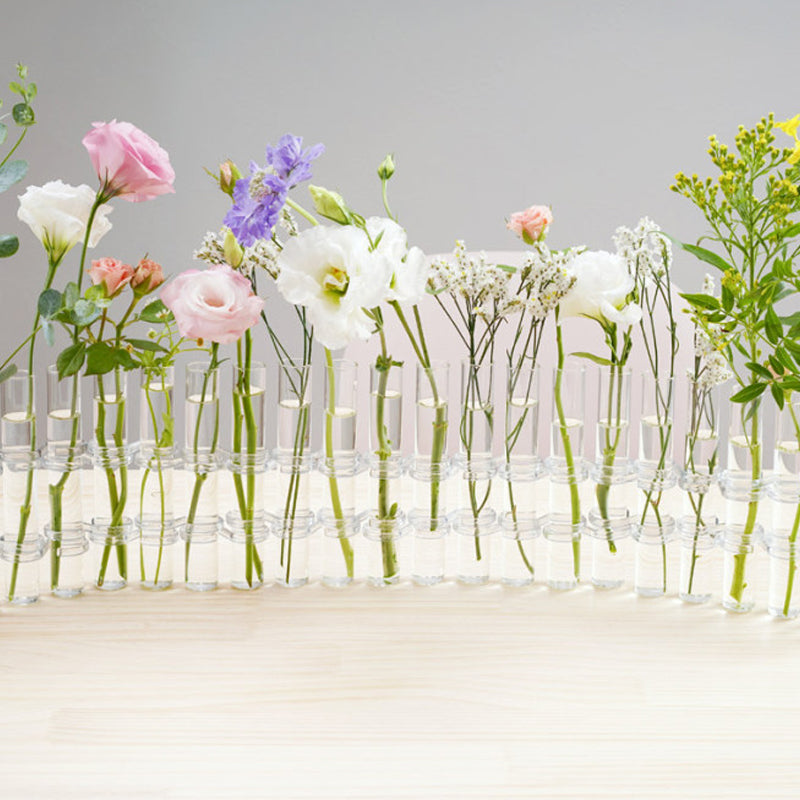 🏺✨ Zylindrische Vasen aus transparentem Glas | Moderne Glasvasen für Dekoration