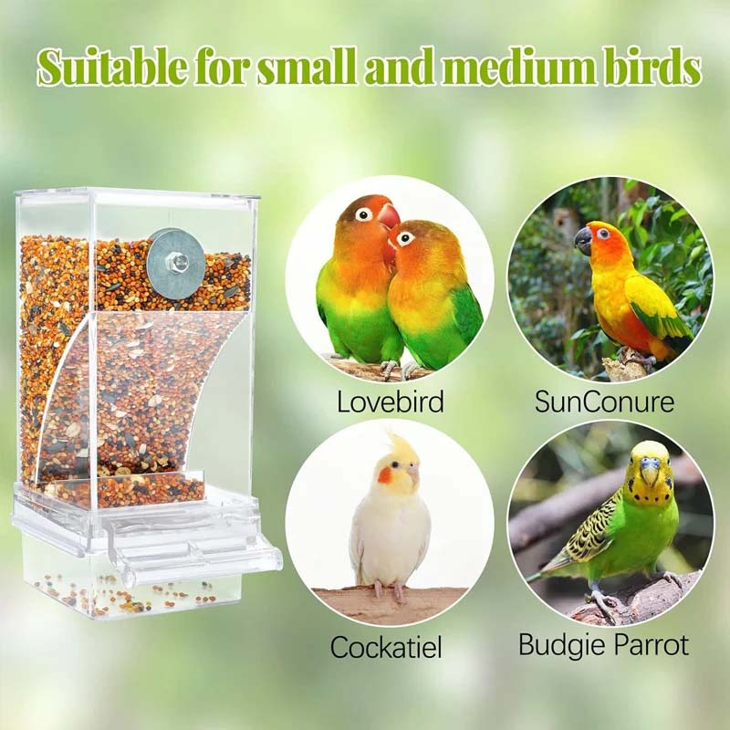🔥KAUFEN SIE 2 UND ERHALTEN SIE 10 % RABATT💝Automatischer, auslaufsicherer, transparenter Vogelfutterspender