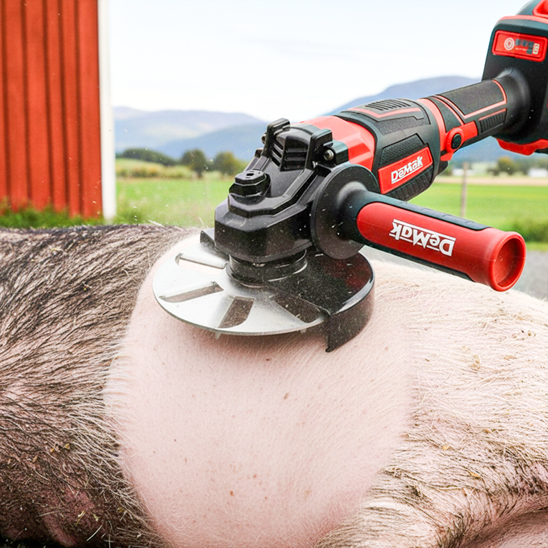 Arbeitssparende Schaberscheibe zur Entfernung von Schweinehaaren