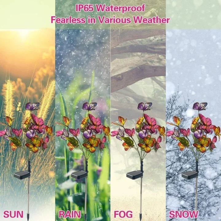 🦋Wasserdichte Solar-Schmetterlingsleuchten für draußen💖