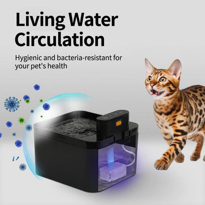 🐾💧 Kabelloser, geräuscharmer Katzenbrunnen 2,2L mit Bewegungssensor 🚰🐱 Batteriebetriebener Trinkbrunnen für Hunde & Katzen. Fördert die Wasseraufnahme, ideal für Haushalte mit mehreren Haustieren. Einfache Reinigung.