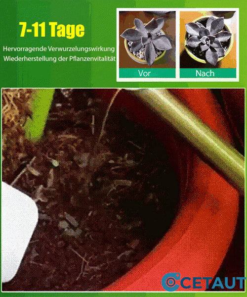 🪴 KAUFEN 3 ZAHLEN FÜR 5! ✨ Pflanzenwachstums-Booster (8 Flaschen) - Beschleunigt Wurzelbildung, Blütenpracht & Gemüsewachstum in 7 Tagen! 🌼🌱✨