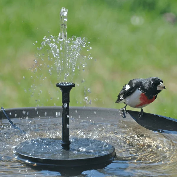 ⏳Zeitlich begrenztes Sonderangebot⏰Kompakte Solar-Vogelbrunnenpumpe – Beleben Sie Ihren Garten! 🐦️