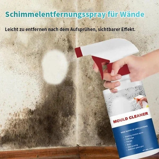 📢📢Kaufen 5 erhalten 5 gratis⏰Schimmel- und Mehltau-Entferner Schaumspray