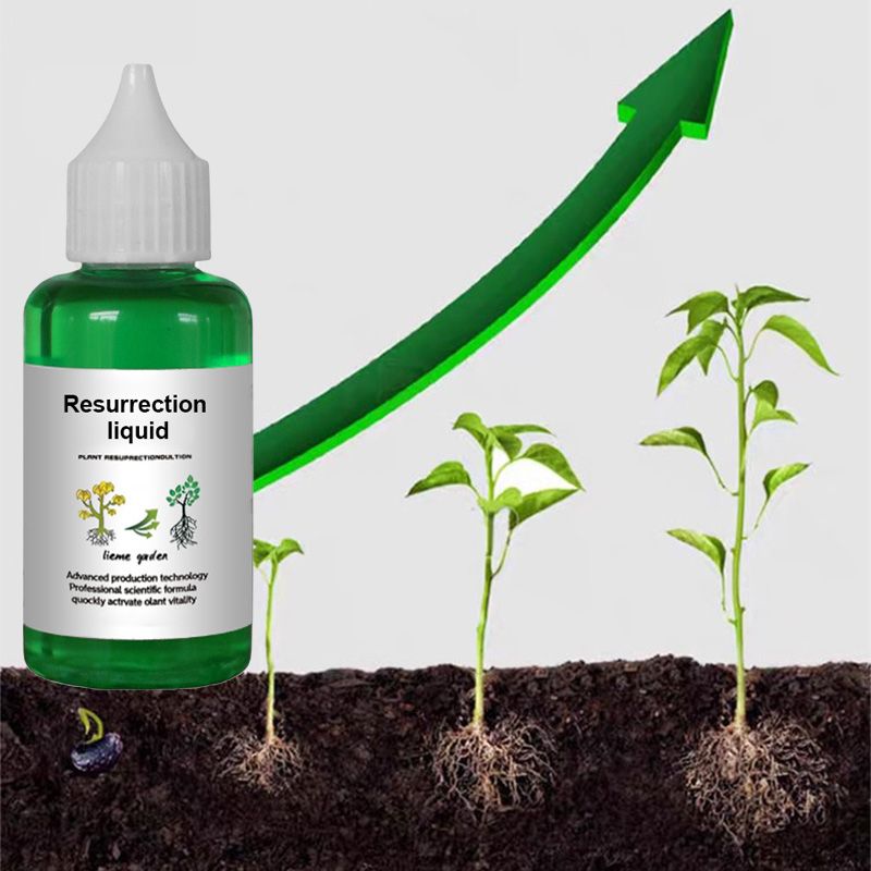 🌱 KAUFEN SIE 1, ERHALTEN SIE 1 GRATIS! 🌸 Pflanzenwachstumsaktivator – Für alle Pflanzen, gesunde Wurzeln und strahlende Blüten 🌿