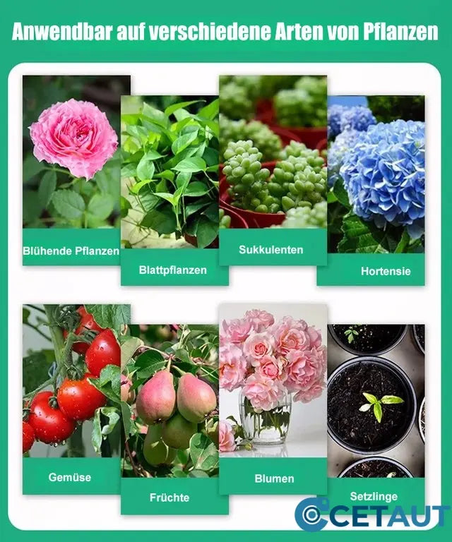 🪴 KAUFEN 3 ZAHLEN FÜR 5! ✨ Pflanzenwachstums-Booster (8 Flaschen) - Beschleunigt Wurzelbildung, Blütenpracht & Gemüsewachstum in 7 Tagen! 🌼🌱✨