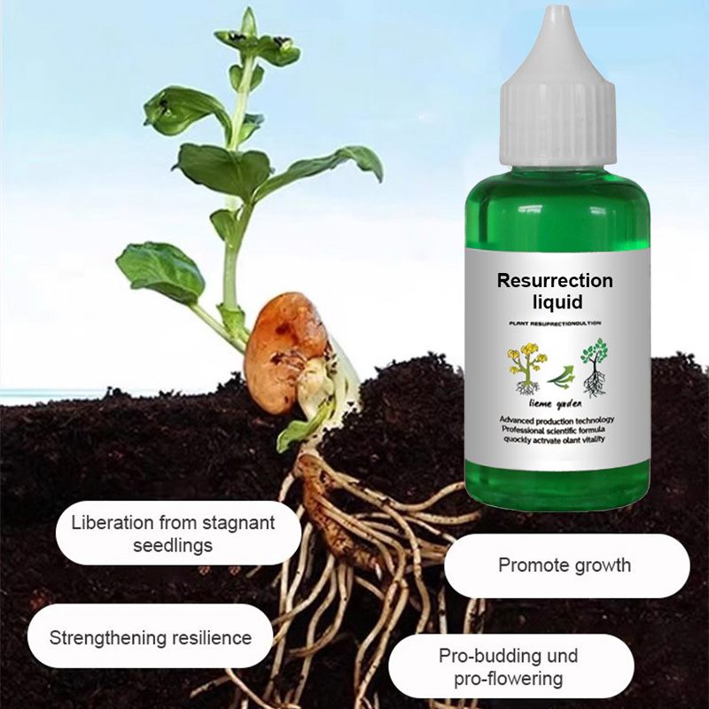 🌱 KAUFEN SIE 1, ERHALTEN SIE 1 GRATIS! 🌸 Pflanzenwachstumsaktivator – Für alle Pflanzen, gesunde Wurzeln und strahlende Blüten 🌿