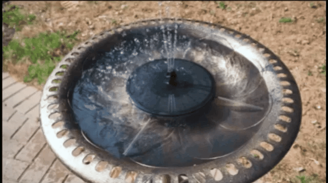 ⏳Zeitlich begrenztes Sonderangebot⏰Kompakte Solar-Vogelbrunnenpumpe – Beleben Sie Ihren Garten! 🐦️
