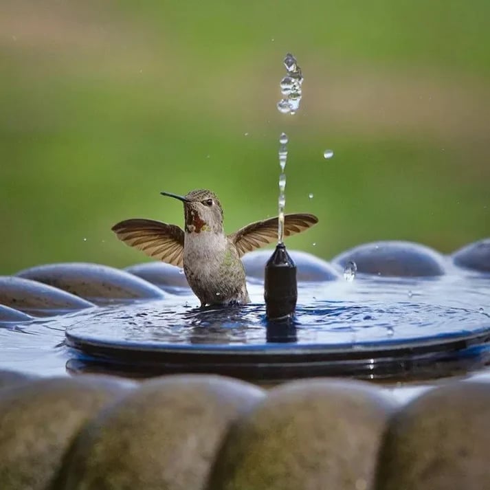 ⏳Zeitlich begrenztes Sonderangebot⏰Kompakte Solar-Vogelbrunnenpumpe – Beleben Sie Ihren Garten! 🐦️