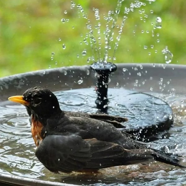 💎 -50% SOLAR-SPRINGBRUNNEN! 💎 4 Düsen, Kabellos & Schwebend für Garten, Teich & Vogelbad