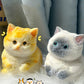 🎁😻Niedliches und weiches Spielzeug in Katzenform