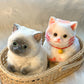 🎁😻Niedliches und weiches Spielzeug in Katzenform