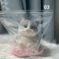 🎁😻Niedliches und weiches Spielzeug in Katzenform