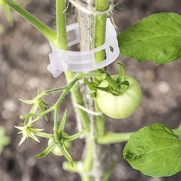 🗜️Clips für Kletterpflanzen – Tomatenbinder und Pflanzenbefestigungen aus Kunststoff 🌱🍅