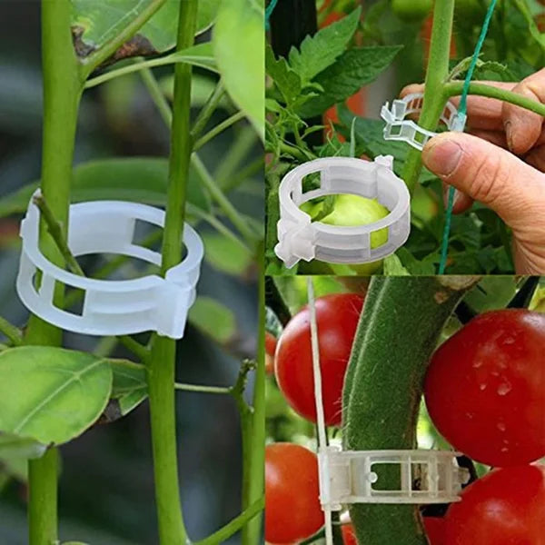 🗜️Clips für Kletterpflanzen – Tomatenbinder und Pflanzenbefestigungen aus Kunststoff 🌱🍅