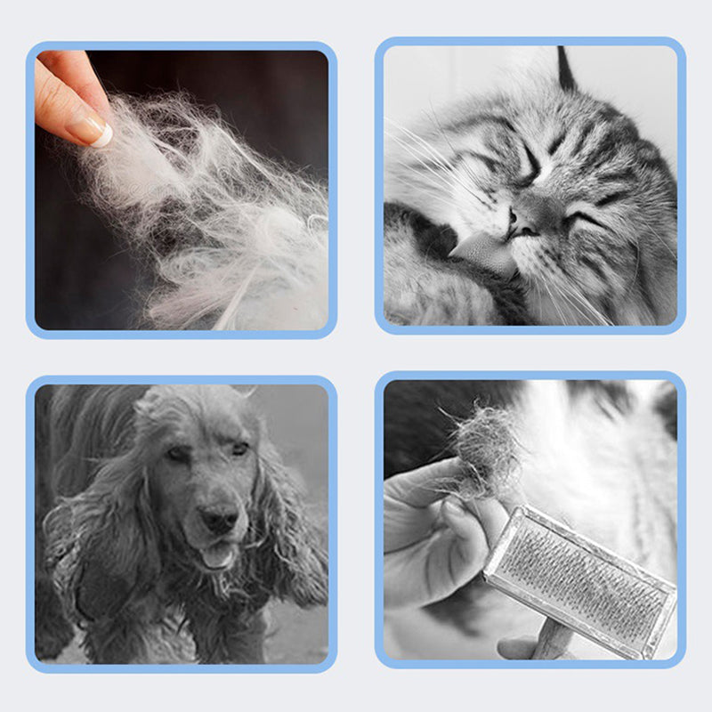 🐾 50% RABATT JETZT! ✨ Effizienter Tierhaarentfernungskamm - Entfernt Sanft Lose Haare ohne die Haut zu Reizen mit Ergonomischem Griff 🐶🐱