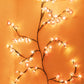 🎁Heiße Aktion 50 % Rabatt🎅Weinreben-Blumen-Atmosphärenlampe
